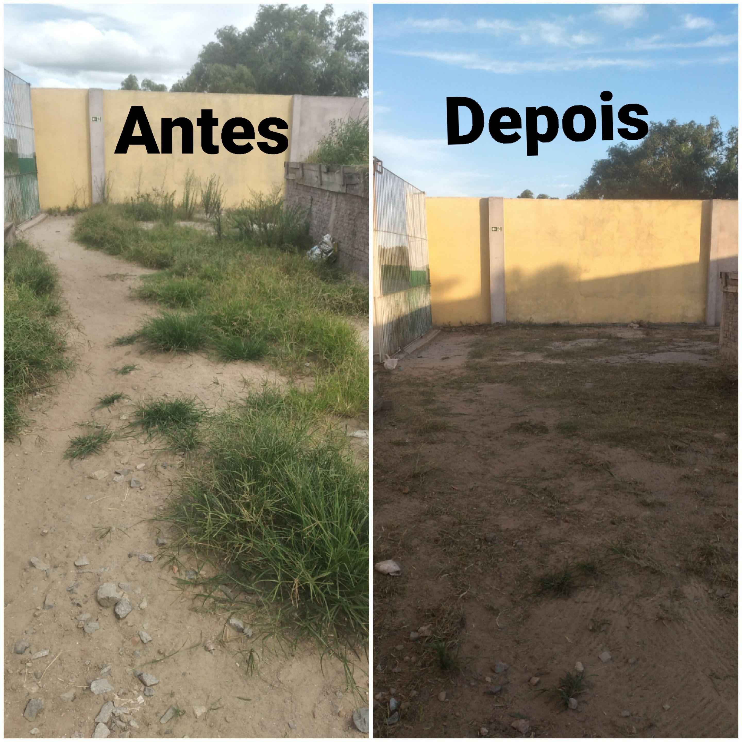 Imagem do portfólio