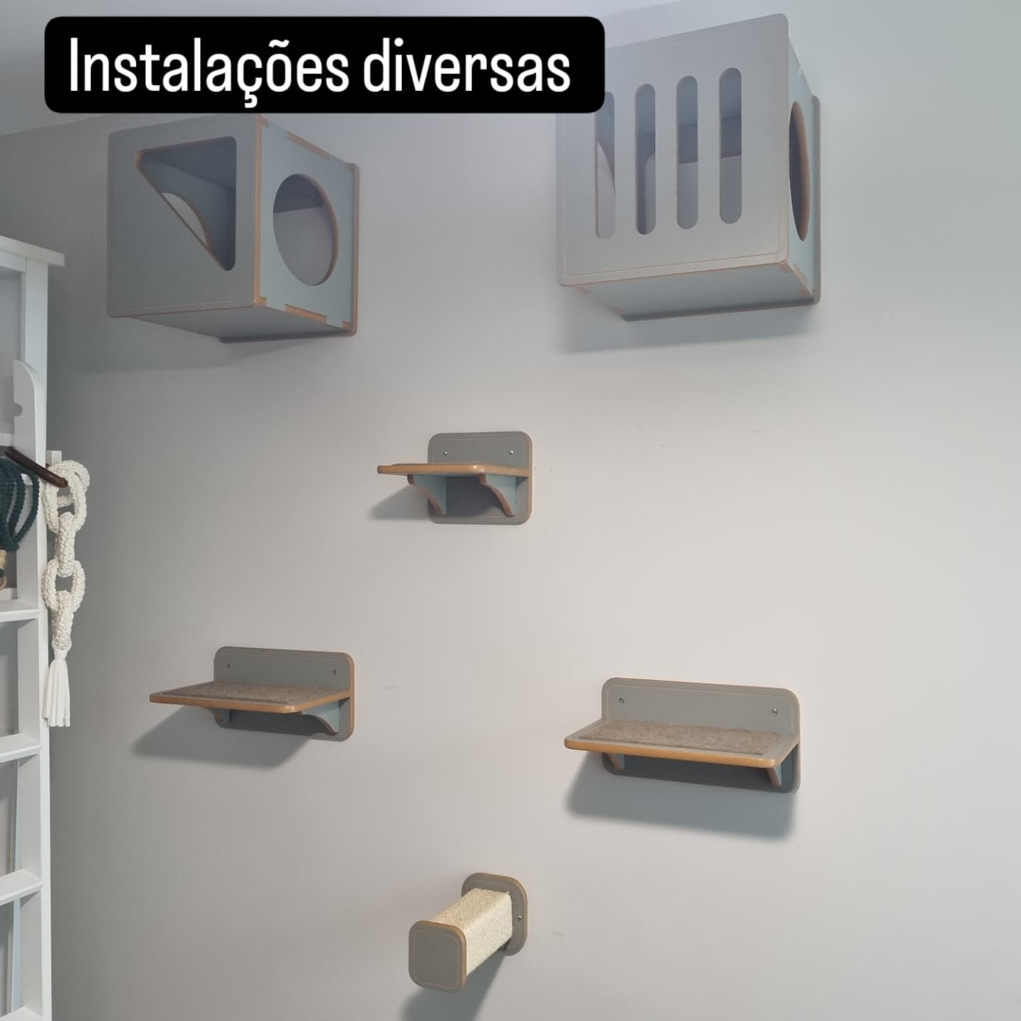 Imagem do portfólio