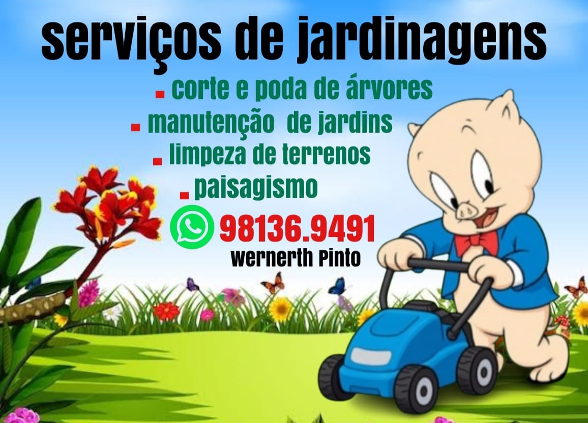 Foto de Wernerth Brasil pinto