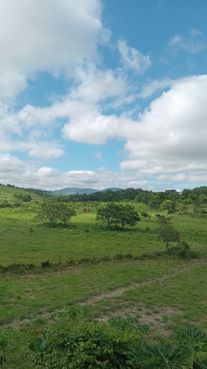 Foto de Eduardo de Souza Teixeira